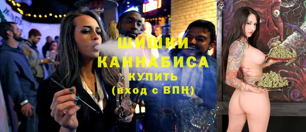 прущий лед Абаза
