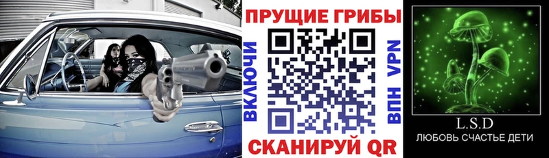 omg ССЫЛКА  Фатеж  Псилоцибиновые грибы мухоморы  продажа наркотиков 